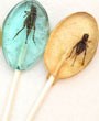 Creepy crawlies make for kooky candy