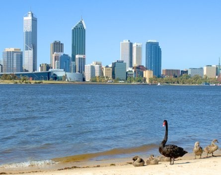 Detailed report and infographic reveals the Perth tech start-up scene: People and investment