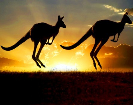 Startup ecosystems and compound interest: the case for keeping your startup in Australia