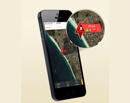 Blood in the water? App developer alleges WA government jumped the shark and stole his idea