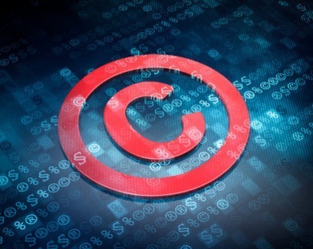 When should a startup protect its intellectual property?