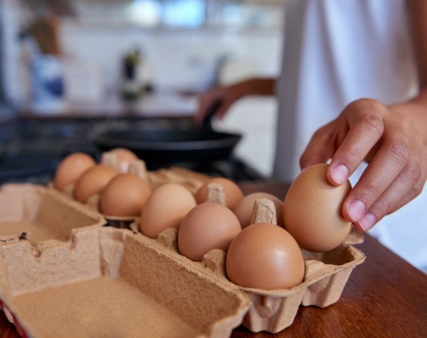 Eggs act standards: Free range egg producers call for urgent reform and clear national guidelines