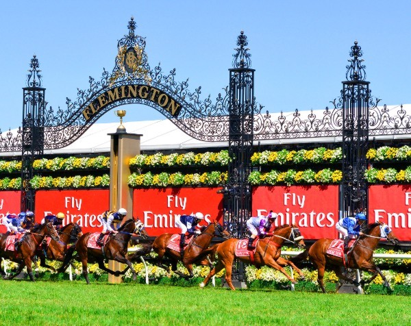 A Melbourne Cup Day export form guide to the Asian Century