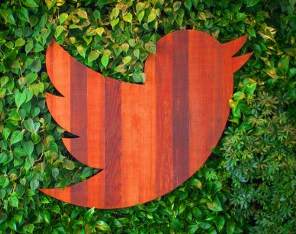 Twitter will no longer crop images in its timelines: “Users want to see images and video”