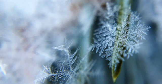 Five cold hard truths for startup founders: “You are not a special snowflake”