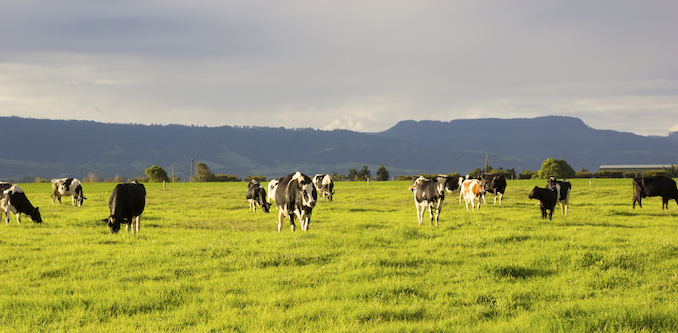 “Financial and emotional devastation”: Farmers speak up about bank repossession tactics