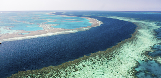 North Queensland tourism in the spotlight amid concerns about the impact of coral bleaching on the Great Barrier Reef