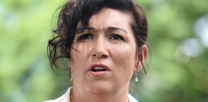 Why Queensland Small Business Minister Leeanne Enoch owes (nearly) everything to a small chicken shop