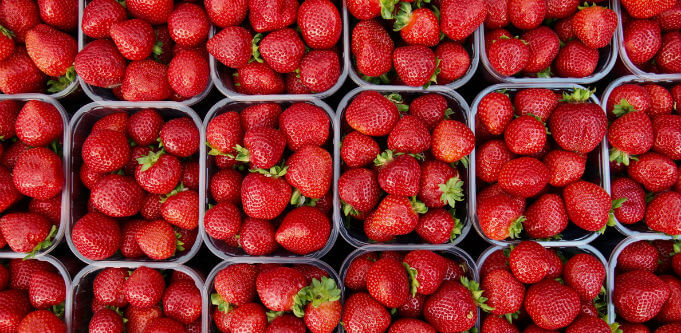 Growers are in a jam now, but strawberry sabotage may well end up helping the industry