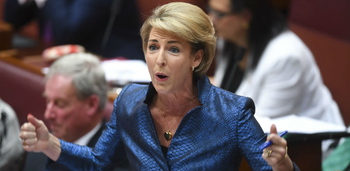 Small business survives Morrison’s cabinet reshuffle and Michaelia Cash emerges with additional sway