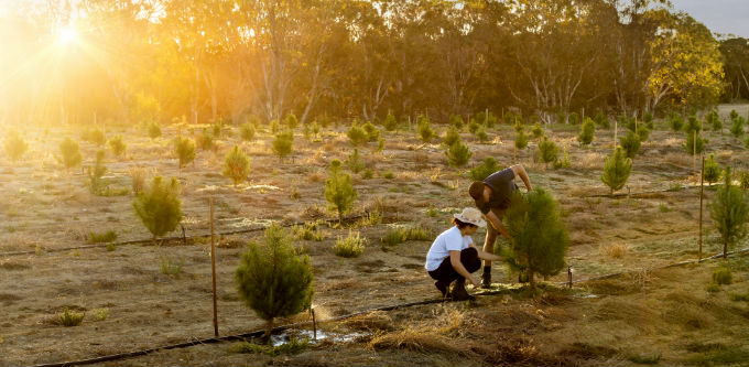 How Emily McWaters manages her Sydney-based business from Kangaroo Island