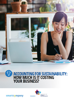 Accounting for sustainability: How much is it costing your business?