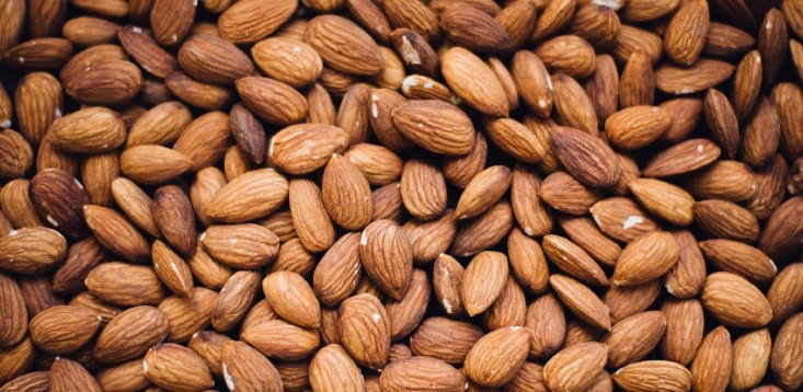 What’s nut to like? South Australian almond farmers harvest a cracking crop as demand skyrockets