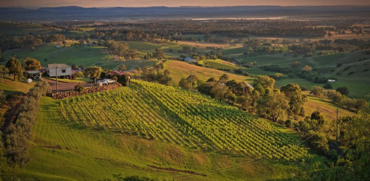 South Australia lands partnership with multimillion-dollar US marketplace to promote red wines from Down Under