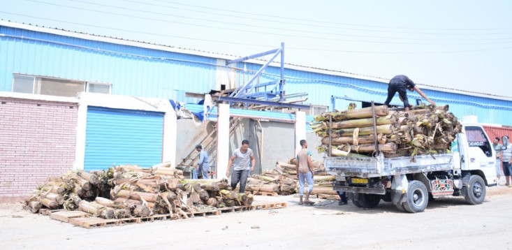 After 20 years, this Adelaide company has proven the profitability of its banana waste technology