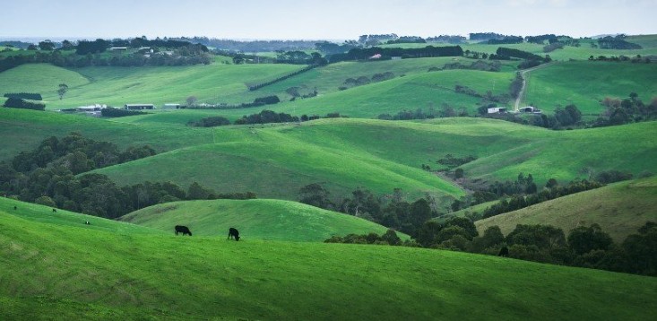 From a collaborative craft malting facility to renewable energy projects, Gippsland is getting regional development right