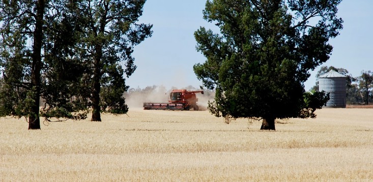 Australia needs to ramp up investment in agtech now, or risk being left behind