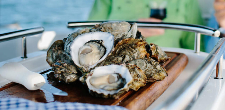 Oyster company reports record sales figures despite Coffin Bay shutdown