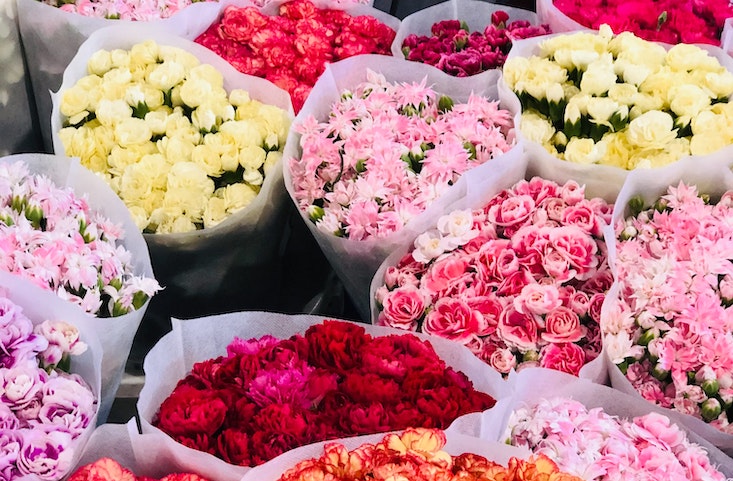 A Valentine’s Day crisis: Is the flower industry the latest pandemic casualty?