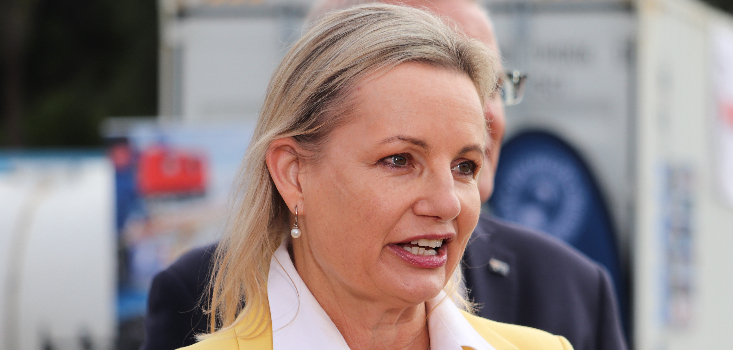 Sussan Ley steps into Shadow Minister for Small and Family Business role as Opposition frontbench takes shape