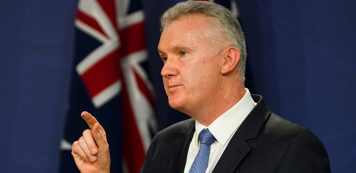 Exclusive: Small businesses will remain exempt from casual conversion reforms, confirms Tony Burke