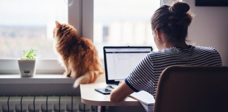 The Netherlands introduces legislation to make working from home a legal right