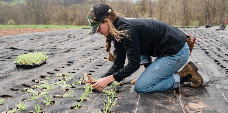 How encouraging more women into agtech can better feed Australia’s population