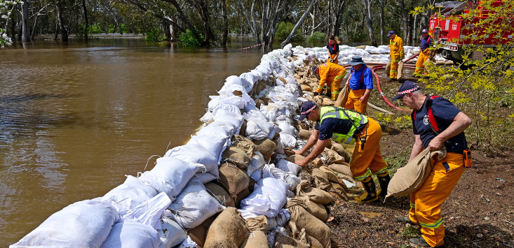 Small businesses sandbagged across regional Victoria as Echuca residents brace for further flooding