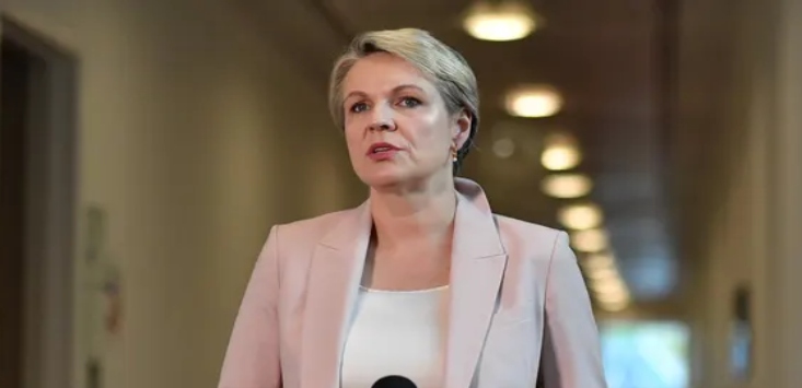 Environment minister Plibersek slams industry on failure to recycle soft plastics