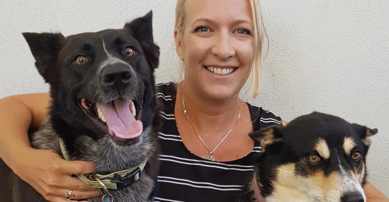 Queensland pet treat company to make insect-protein ‘Doggy Doughnuts’ for Krispy Kreme