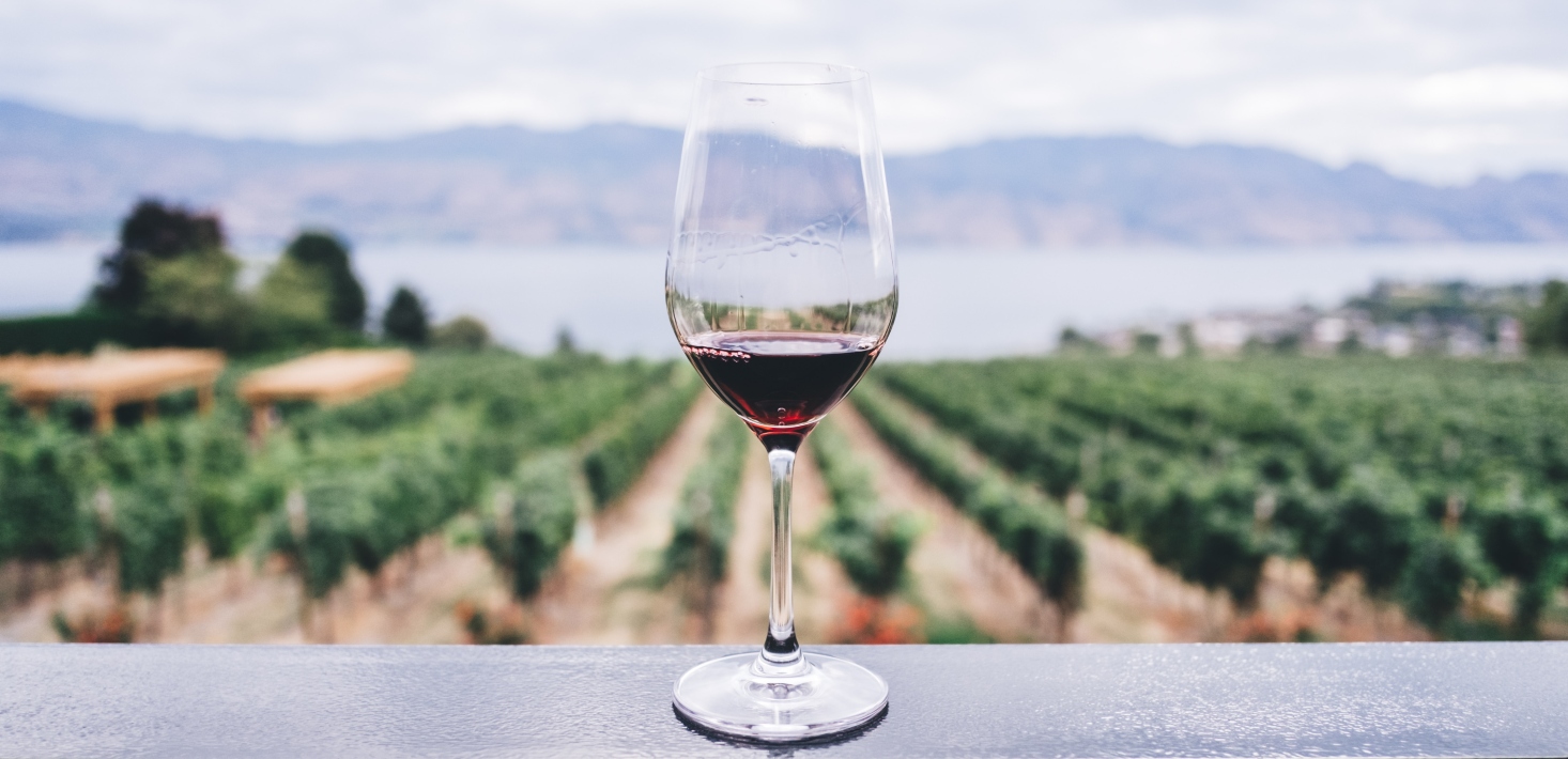 SA government funds trial facility for non-alcoholic wines