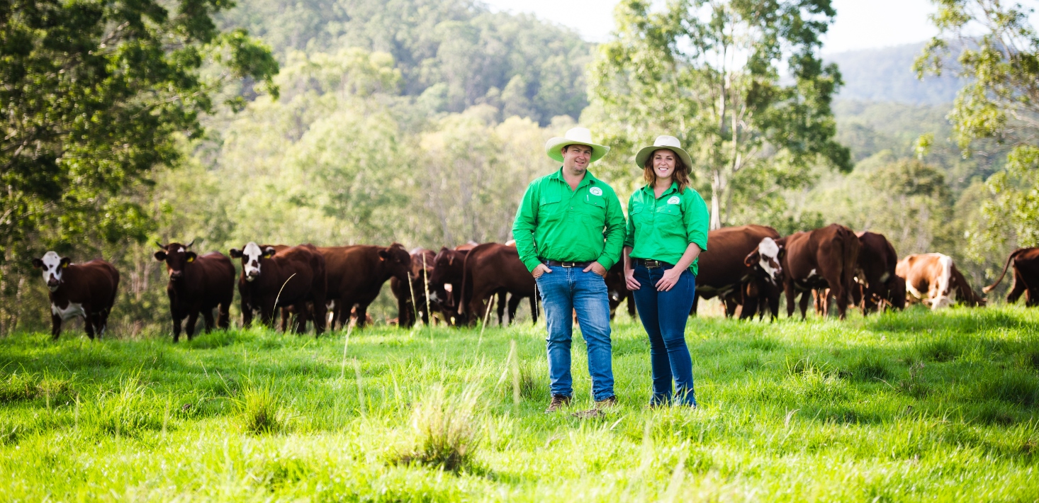 Our Cow launches same-day delivery for Sydney customers; reveals national expansion plans