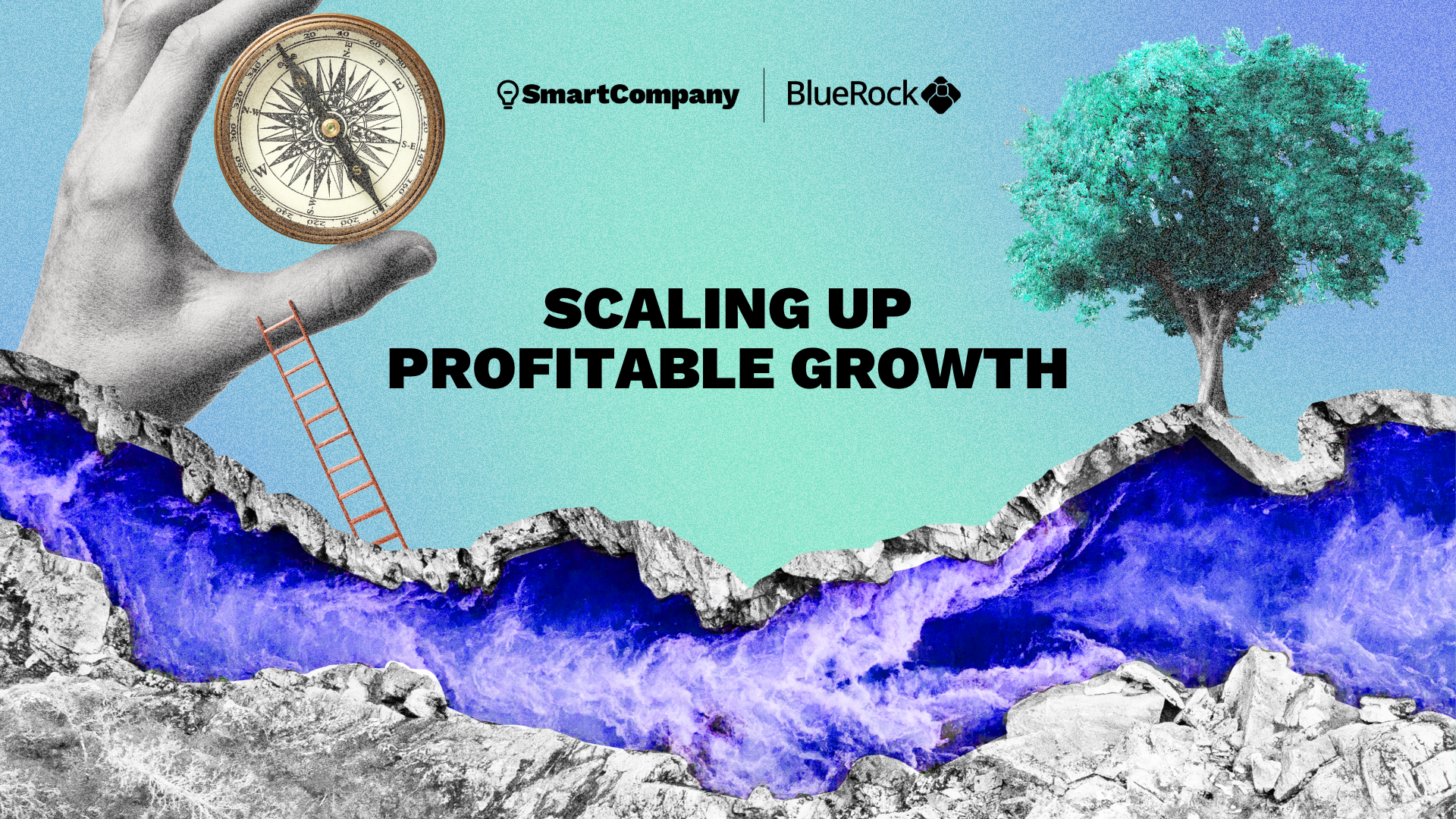 eBook: Scaling up profitable growth