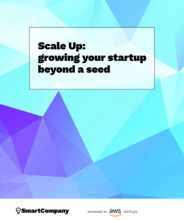 eBook: Scale Up: Growing your startup beyond a seed