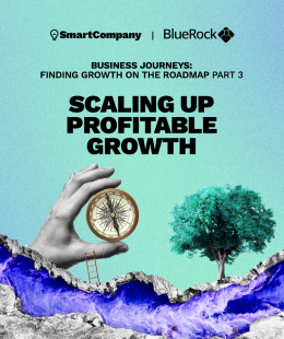 eBook: Scaling up profitable growth