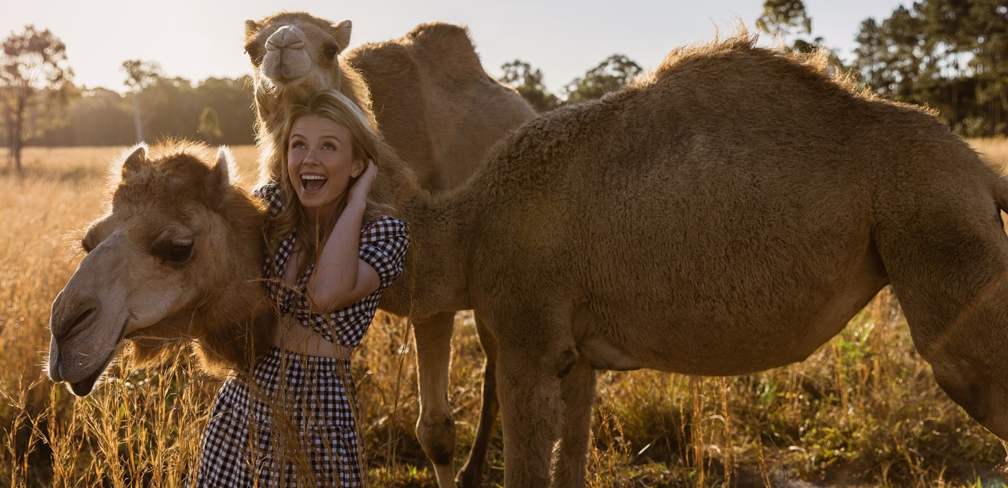 How a Queensland camel dairy farmer has mustered a 568,000 TikTok following