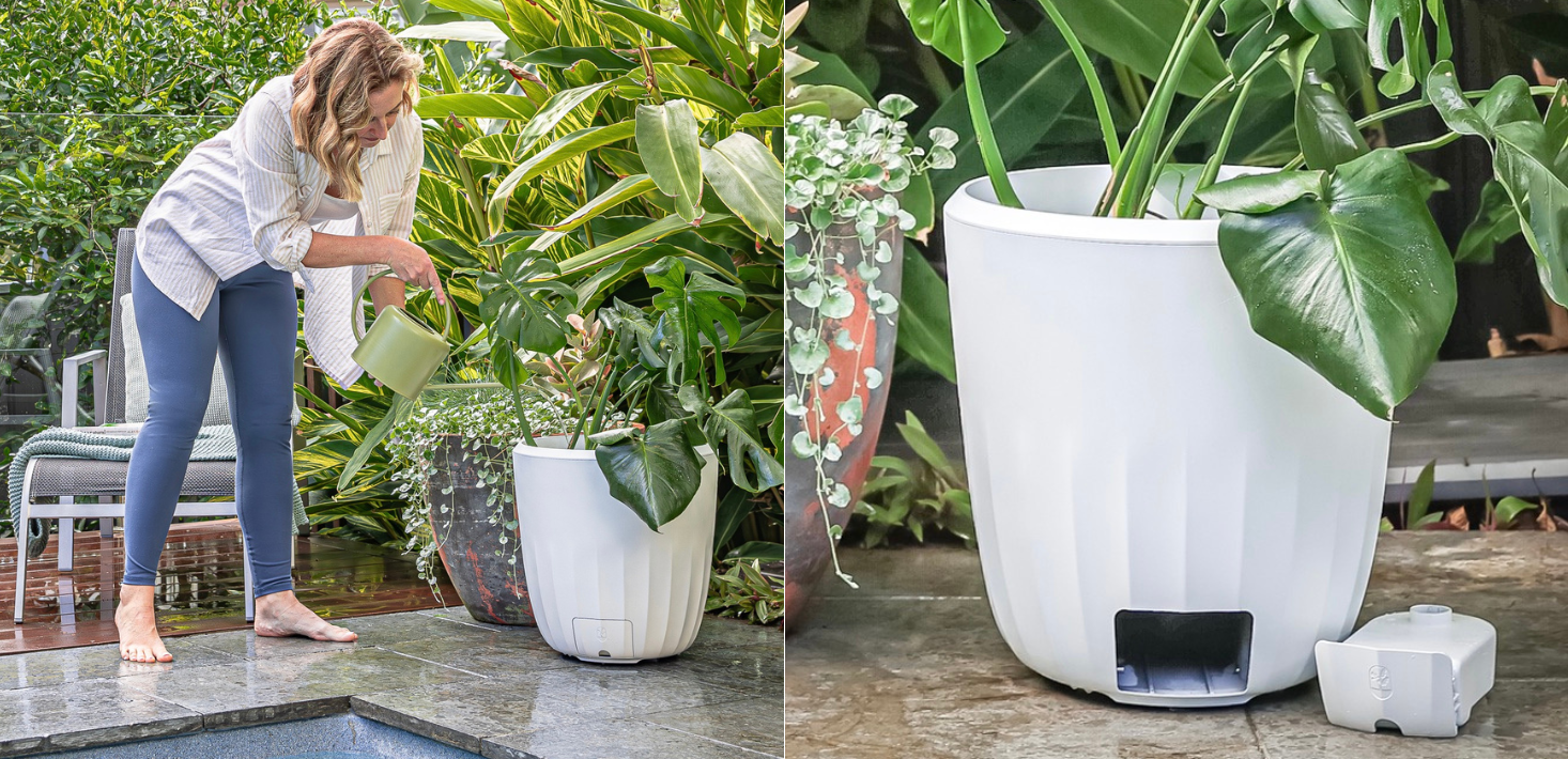 How PerkyPod takes the guesswork out of plant care with its world-first ‘self-draining’ plant pot