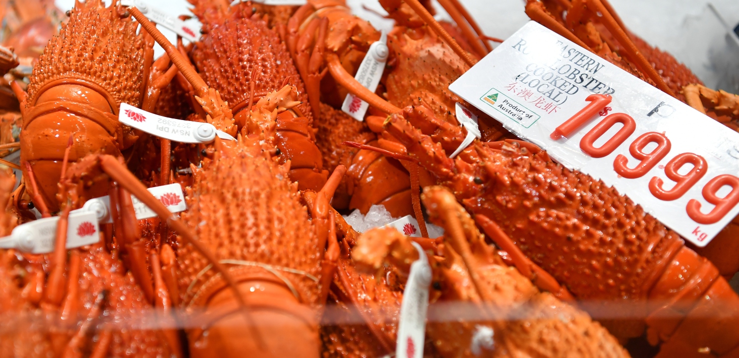 "Major win": Australian government pledges to help lobster exporters get the best price as China drops trade ban